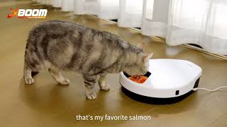 Keep Your Pet’s Meals Fresh All Day! 🐱🥩 | UBPet Smart Refrigerated Pet Feeder