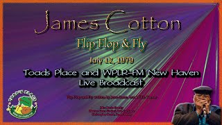 Watch James Cotton Flip Flop And Fly video