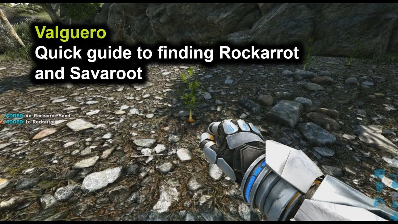 Ark Valguero Quick Guide To Finding Rockarrot And Savaroot Youtube