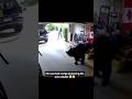 Bear in his garage 👀 #SHTF #Survival #Blackbear #Outdoors ##Wild #Wildlife #Crazy #bear
