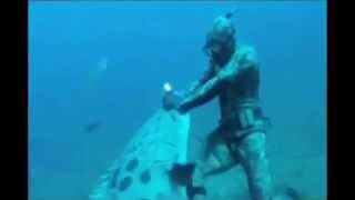 Giant Goliath Grouper Attacks Diver who is Spearfishing!