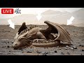 Perseverance Amazing Footage | Mars Rover 4k Video | 360° Mars Images | Life on Mars 1784