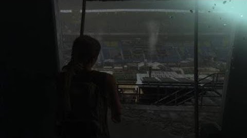 The Last of Us 2 - Load Screen Glitch