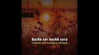 SERVET TUNÇ-DERENG NEYE  ŞARKIYI DİNLEDİN ŞU GÜZEL KARDEŞİNİDE KIRMA Bİ ABONE OLDA BİZI MUTLU ET 😊❤ Resimi