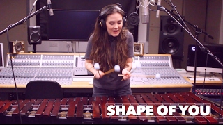 Shape of You - Ed Sheeran (Marimba + Vocal cover) Resimi