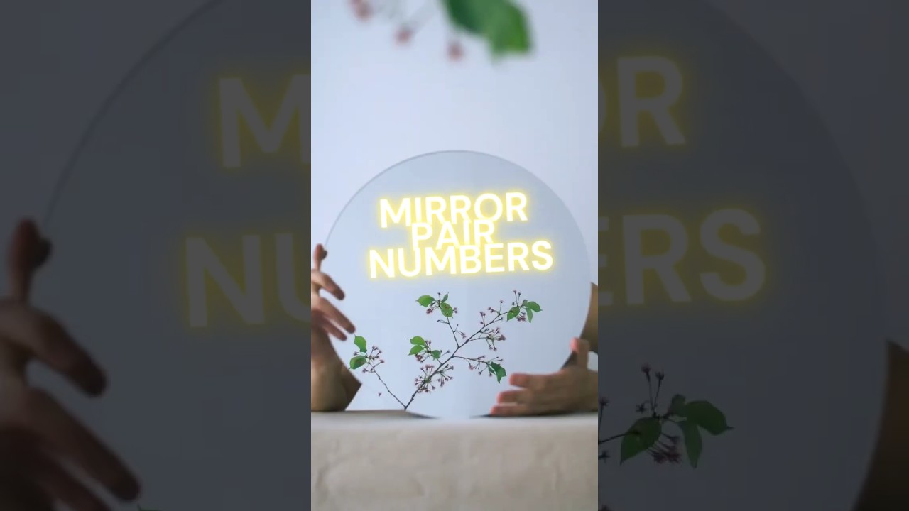 Mirror Pair Numbers Numerology | Rare Compatibility Secrets 🔮