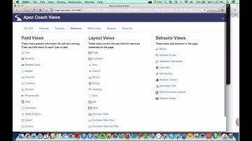 Apex Coach Views 2 - Introduction and Basics