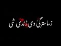pashto black screen poetry status||pashto sad poetry status #viralstatus #pashtopoetry #viral