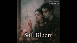 Soft Bloom screenshot 3