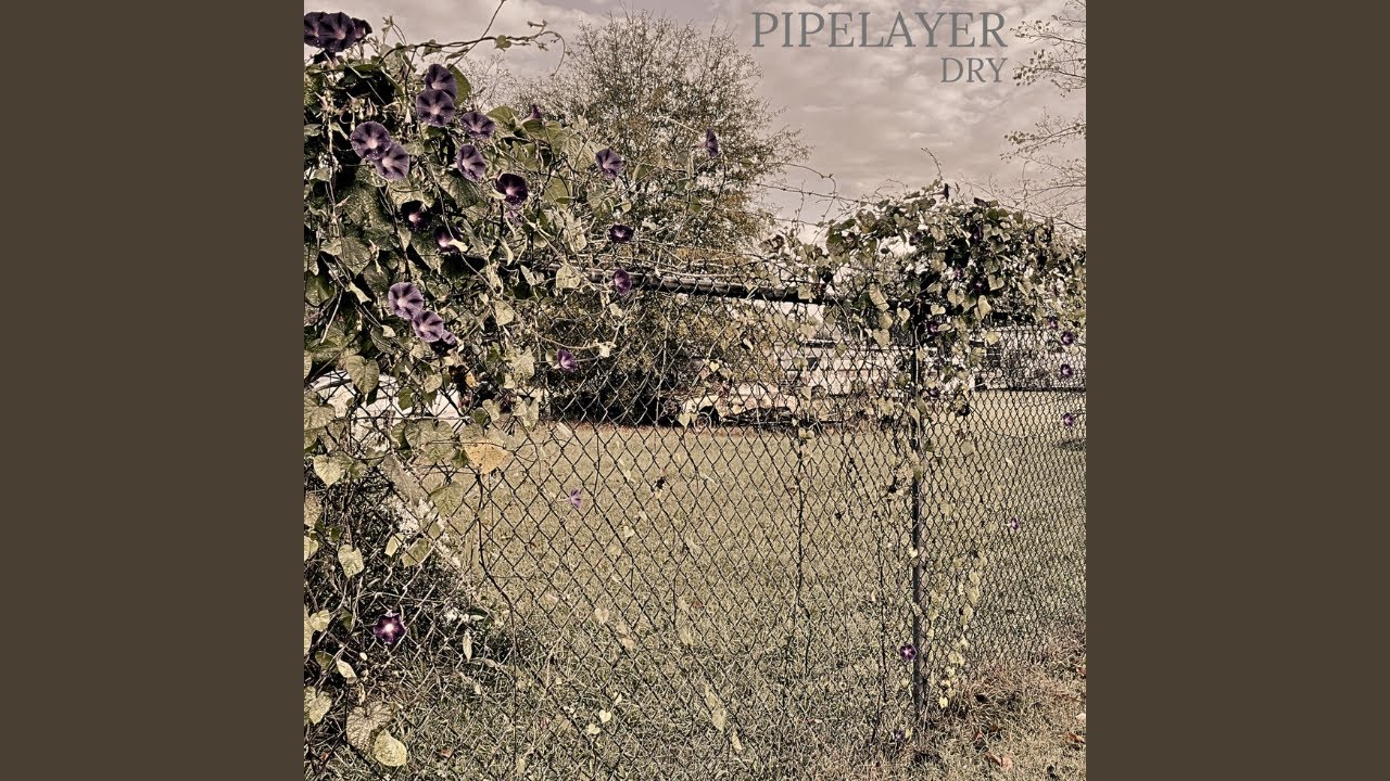 Pipelayer - Dry [2025 Noise Rock, Sludge, Post Hardcore, Post Metal]