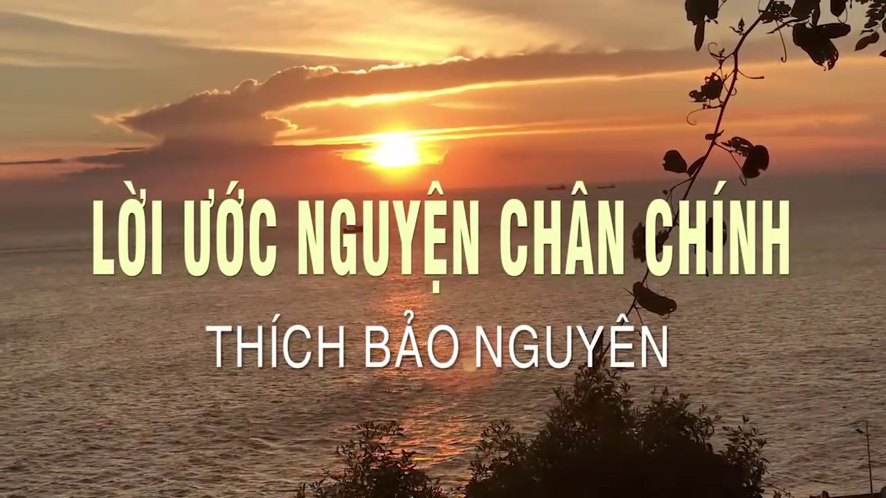LỜI ƯỚC NGUYỆN CHÂN CHÍNH - Thích Bảo Nguyên | Xuân Đinh Dậu 2017