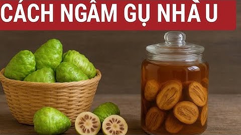 Cách Ngâm R. Ư. Ợ. U  Nhàu Đơn Giản Tại Nhà – Tăng Cường Sức Khỏe, Giải Độc Cơ Thể