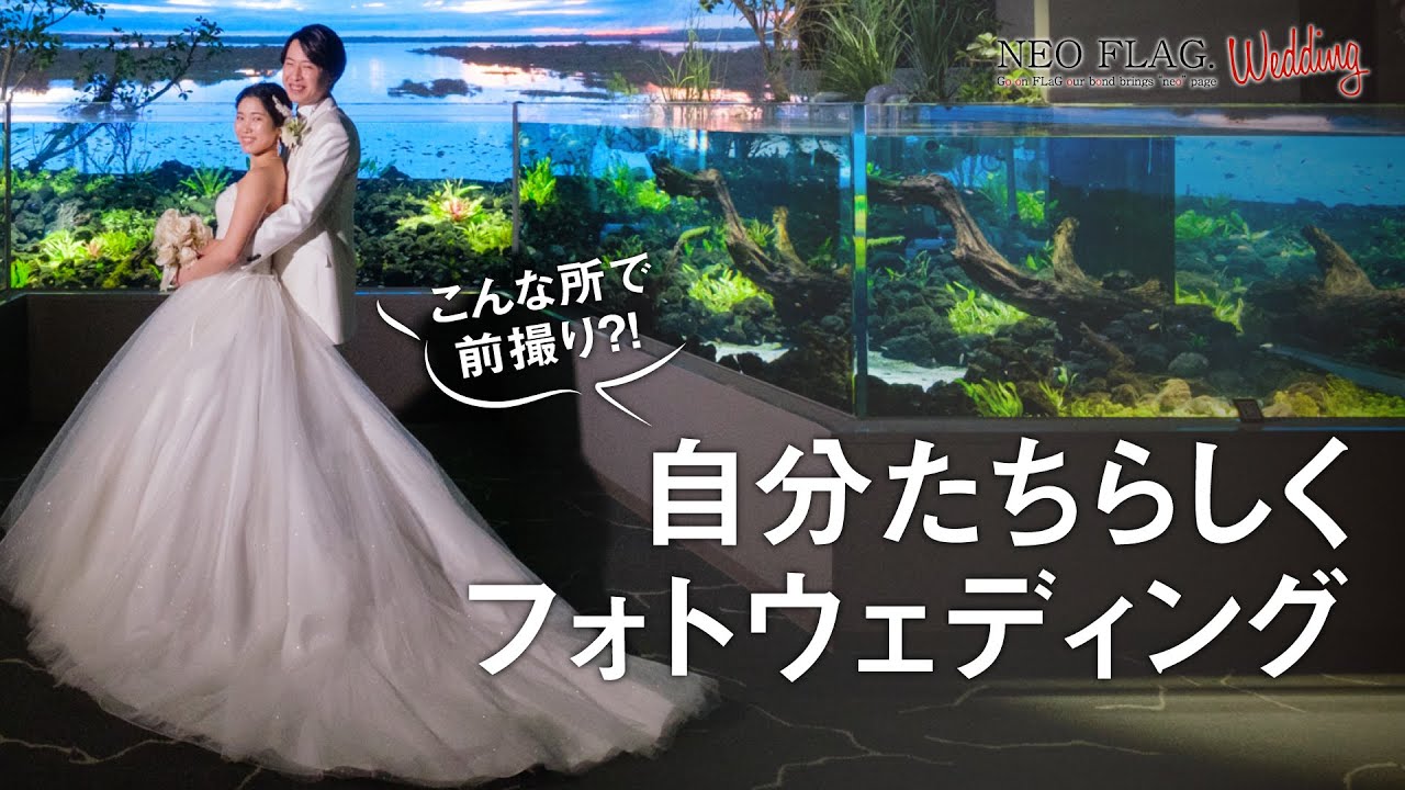 こんな所で前撮り 自分たちらしくフォトウェディング カワスイ 川崎水族館 Youtube