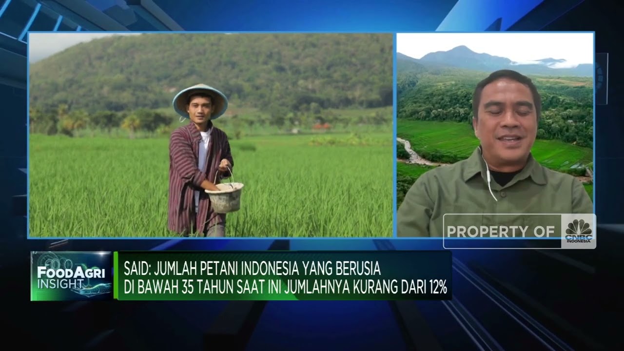 Kurang Petani Muda & Penyuluh Pertanian, RI Sulit Swasembada Pangan?