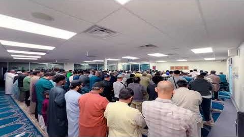 القارئ هاشم عباسي