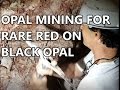Opal Mining for Rare Australian Red on Black Opal