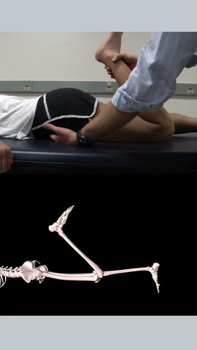 Hip  Elys Test New