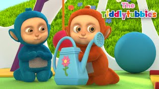 Teletubbies ★ NEW Tiddlytubbies 3D Season 4! ★ Episode 19: Magic Watering Can