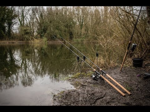 16 Best Carp Rods (2024 Update Now Live!) - Tackle Scout