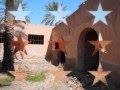 واحة العامري البوازيد