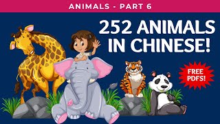 252 Animals in Chinese w/ Pictures - Animal Kingdom Series Part 6 | 二百五十二種動物的中文名稱