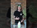 HOW TO USE WORM-TEA