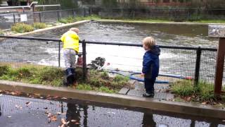 More Puddle Jumping With Ben