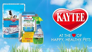 crittertrail bedding tray medium