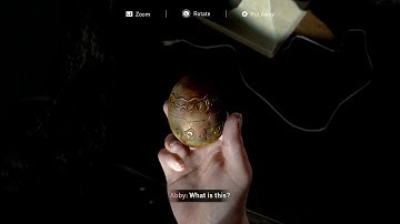 The Last of Us 2 ~ Relic of the Sages Trophy Guide (Strange Artifact Location)