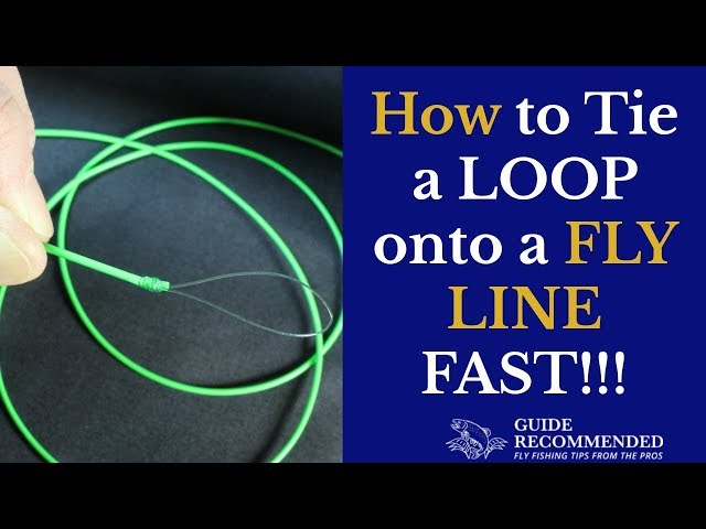 How to Tie a LOOP onto a FLY LINE 