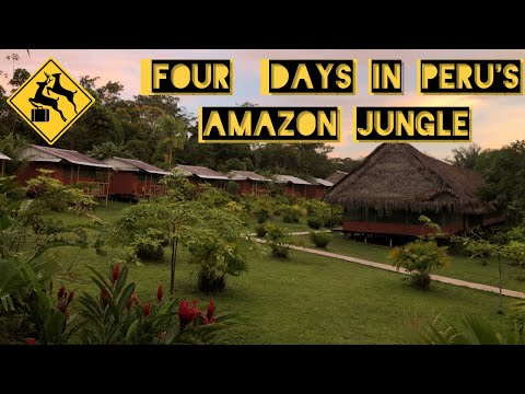 Four Days in Peru's Amazon Jungle