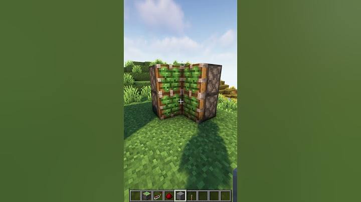 UNE PORTE INCROYABLE #minecraft #minsqa #minecrafttutorial #shorts