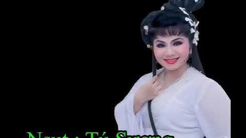 Trailer Ngai vàng và tội ác (13-05-2023).