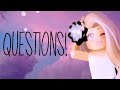 || Ask me any Questions in the comments! || TheGacha Kitten