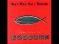 Half Man Half Biscuit - Styx Gig  (Seen By My Mates Coming Out Of A )