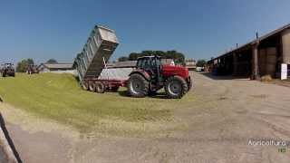 Agricoltura HD - Trinciato Magoni con Claas Jaguar 970