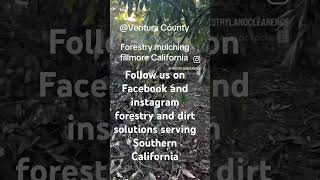 Forestry mulching #avocados#ranchs#losangeles