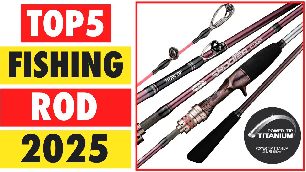 Top 5 Best Fishing Rod In 2025 | Professional Fishing Rod