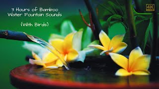 Bamboo Water Fountain Sounds with Birds - Soothing Nature sounds by Boost Relaxation 5,001 views 2 years ago 3 hours