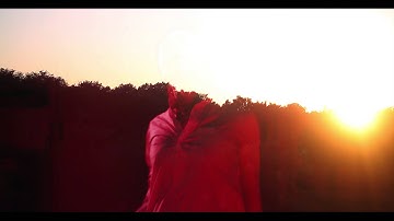 pish - brian jonestown massacre (1080)