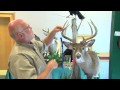 Measuring White-Tailed Deer