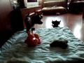 Samen spelen!