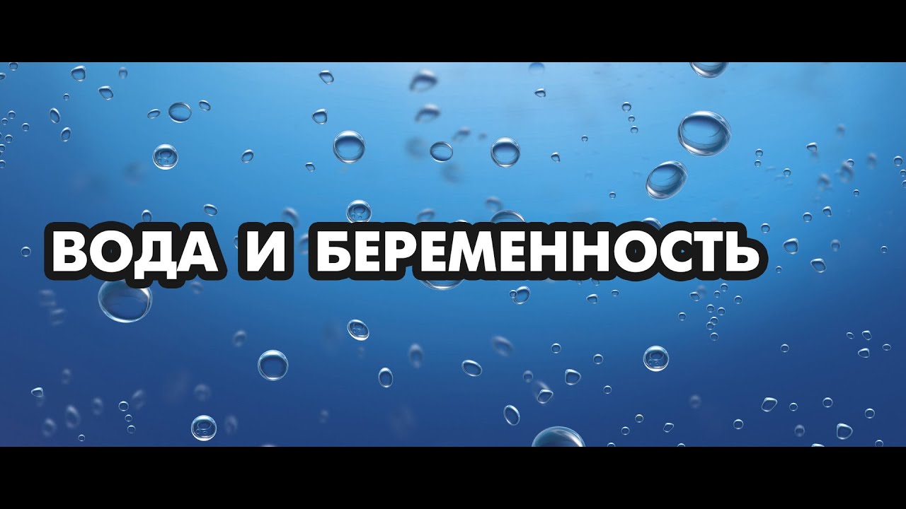 Удивительное сочетание декоративности и яйценоскости — Павловская порода кур Удивительное сочетание декоративности и яйценоскости — Павловская порода кур