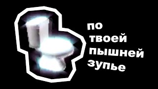 ПОЛЬСКИЙ ТУАЛЕТ - ПЕРЕВОД, ПРОИСХОЖДЕНИЕ МЕМА