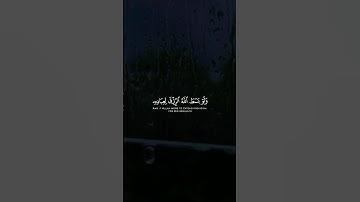 سورة الشورى Surah Ash-Shura, verse 27 #quran