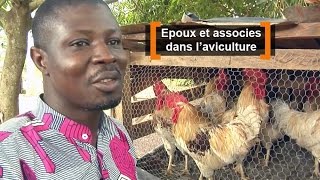 Côte d'Ivoire : Epoux et associés dans l'aviculture