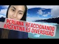 PERUANA💥💜 REACCIONANDO  ARGENTINA ES DIVERSIDAD 💬💫💤 🇦🇷🇦🇷🇦🇷