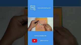 Simutomy's Suturing Recaps: Simple Sutures #suturing #simplesutures #simplesuturing