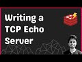 3. Writing a Simple TCP Echo Server | Redis Internals