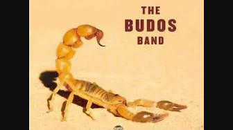 The Budos Band - King Cobra.wmv The Budos Band - King Cobra.wmv